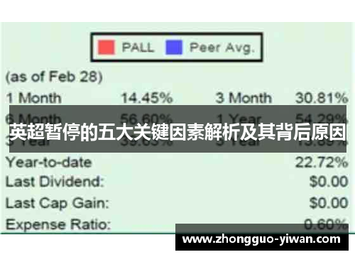 英超暂停的五大关键因素解析及其背后原因