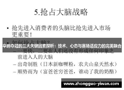 辛纳夺冠的三大关键因素探析：技术、心态与赛场适应力的完美融合